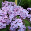 百合が原公園にて