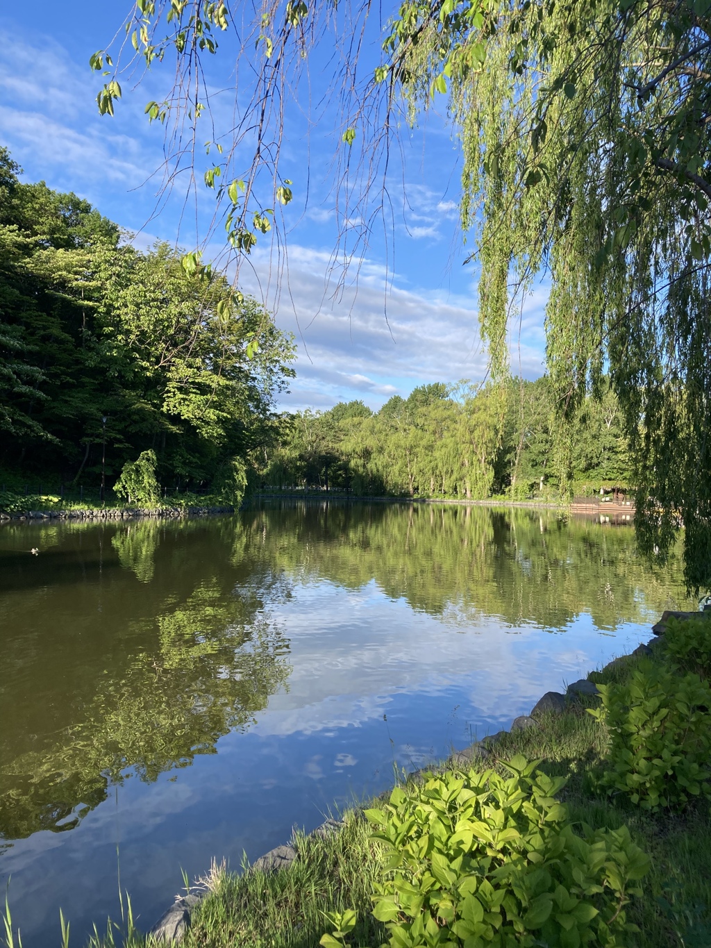 朝の月寒公園