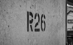 R26