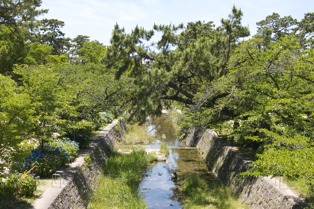 河川敷公園で