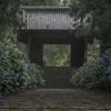 大中寺