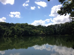 水面