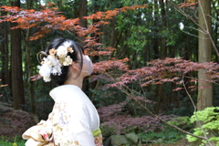 二十歳の愛娘