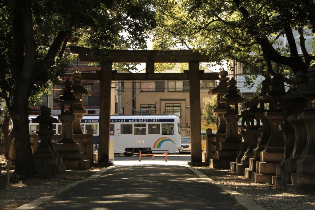木陰。