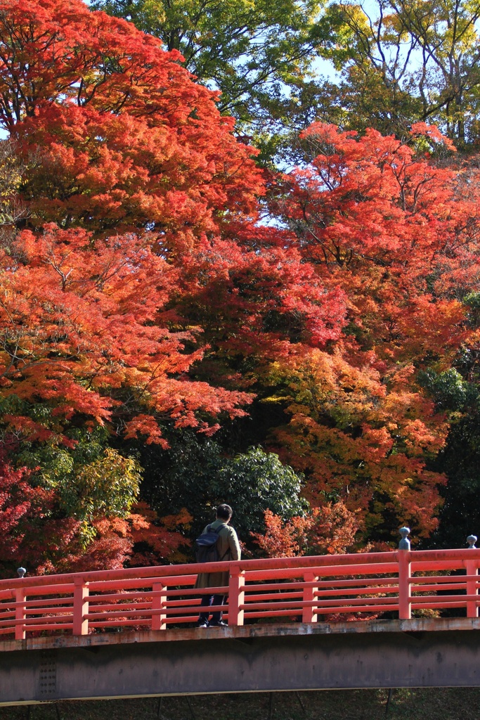 からくれなゐの龍田川