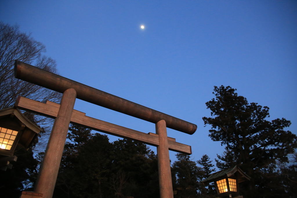 月と鳥居