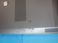 IMG_4537