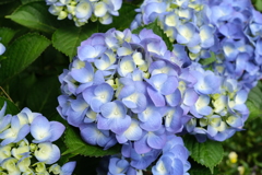 6月2日-4