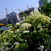 6月7日-6