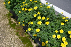 7月19日－4
