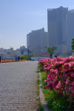 6月7日-9