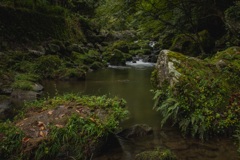 雨上がりの王滝渓谷