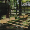 手水舎のある風景