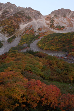 絶景の紅葉