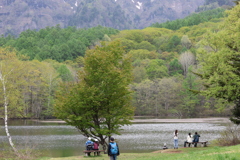 新緑の鏡池