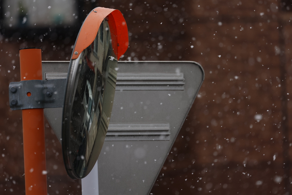 雪　降りました‼