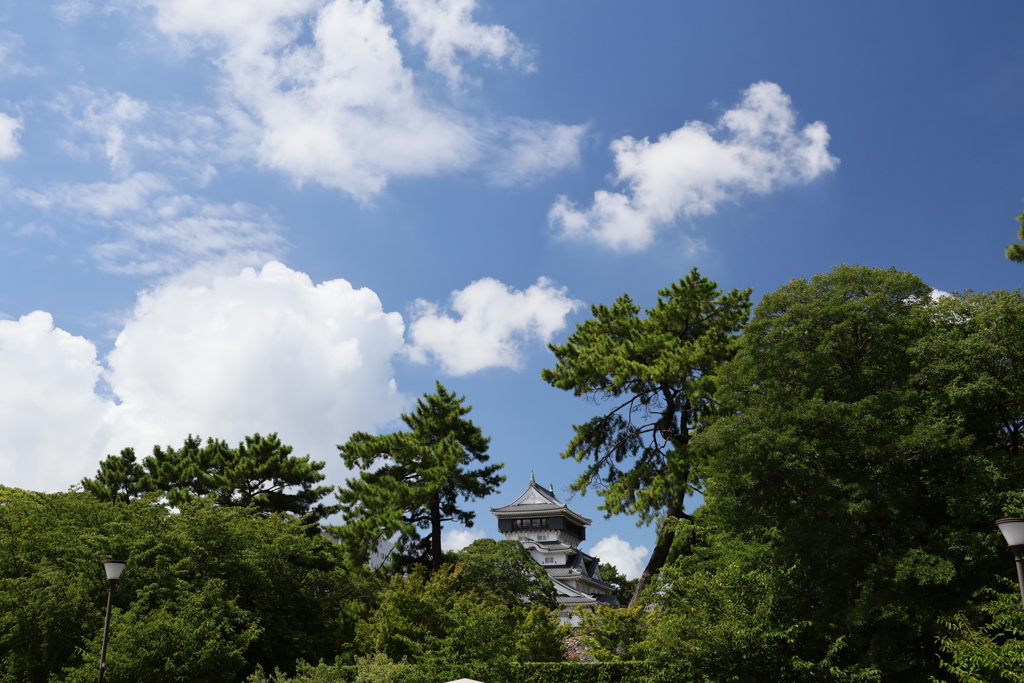 街中散歩　小倉城