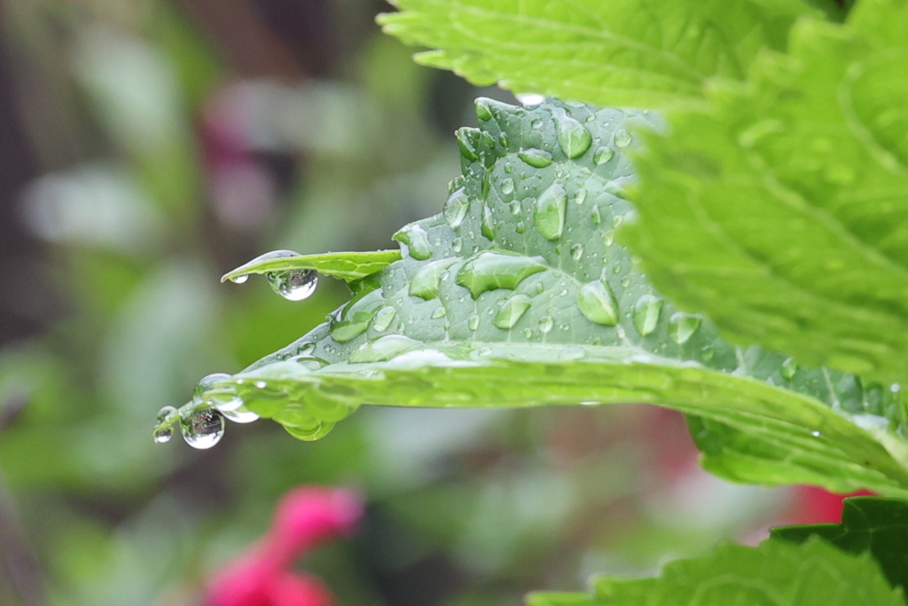 雨の切れ間に!