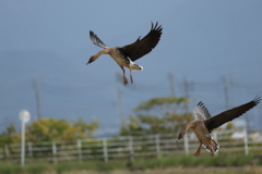 着陸準備完了!!
