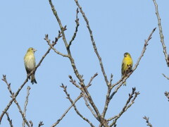 『あな〜た』『な〜んだい』