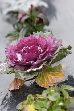 薄っすらと雪が積もって