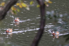 「アッ!　いたいた!!」