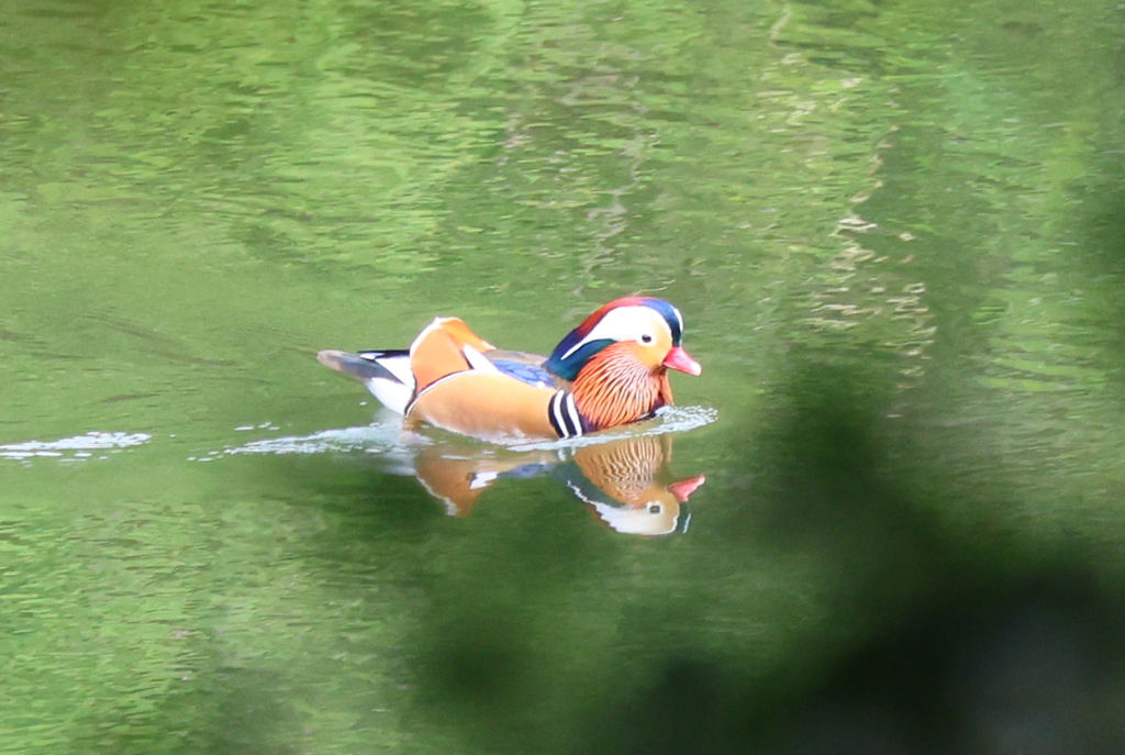 一人ぼっちじゃないよ