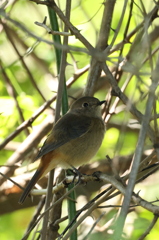 嬉しい再会② 嬉しい再会②