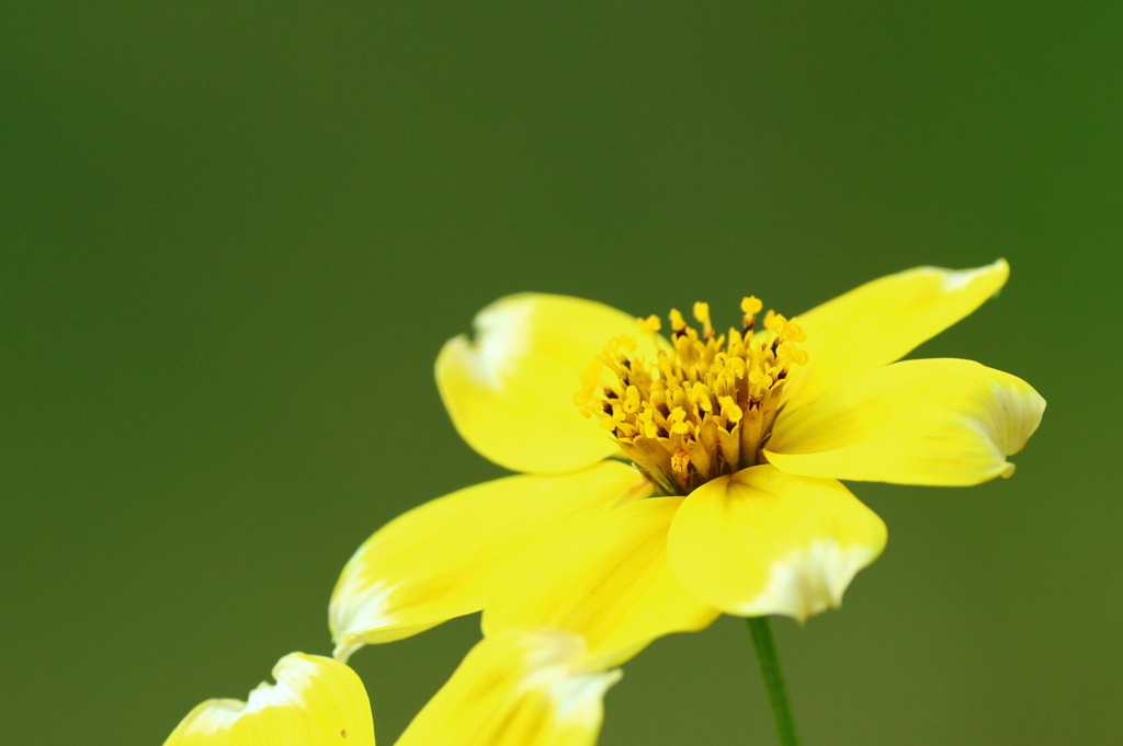 明けましておめでとうございます