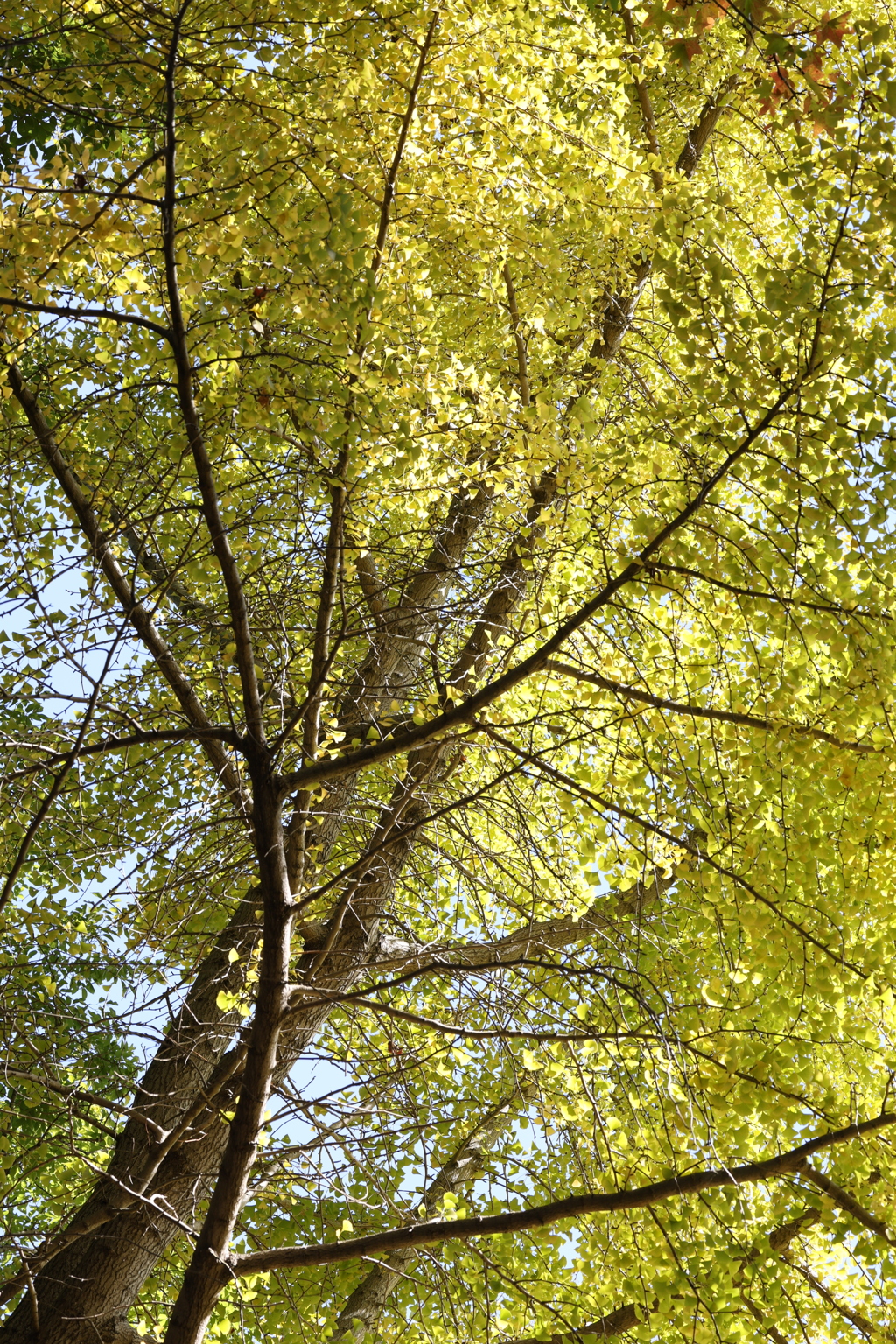 大きいなぁ〜！！