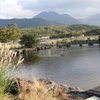 お山の鴨池