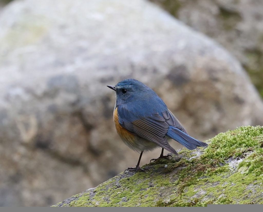 今年の終わりに