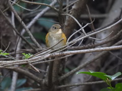 怒ってる?ルリさん