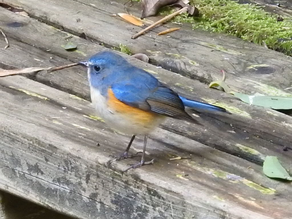 ベンチで一休み