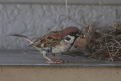 只今子育て真っ最中②