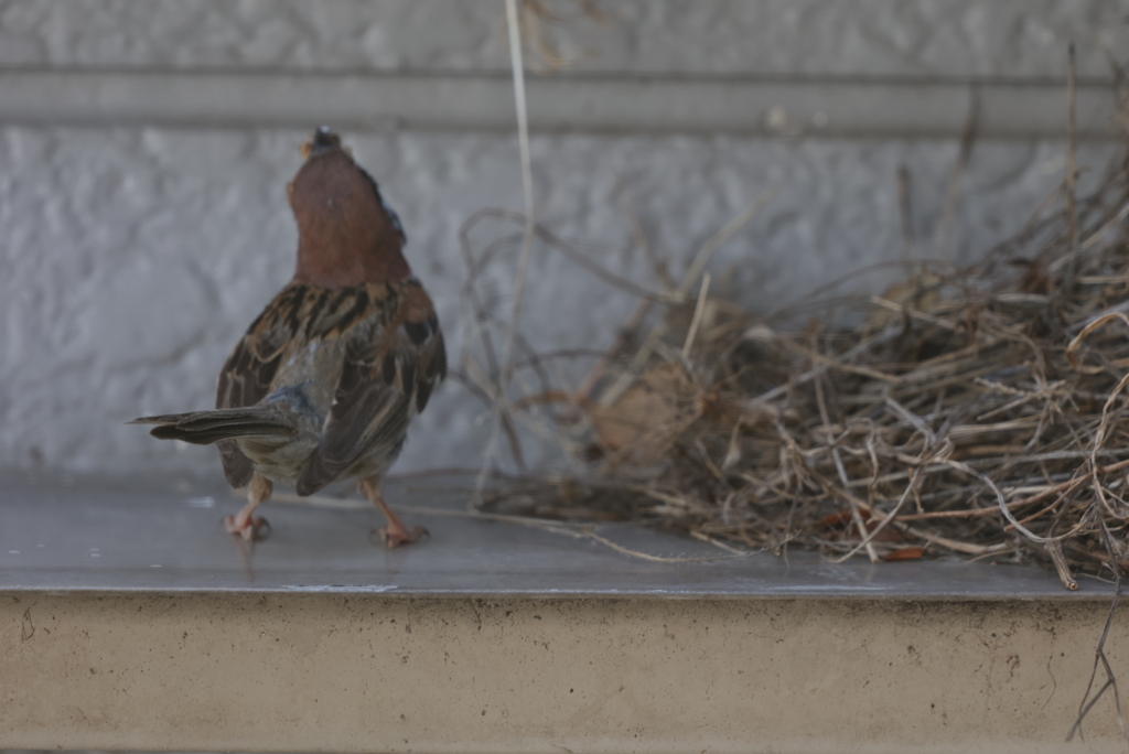 只今子育て真っ最中③