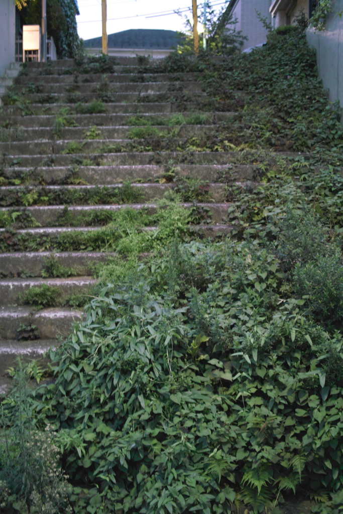 路地裏の階段