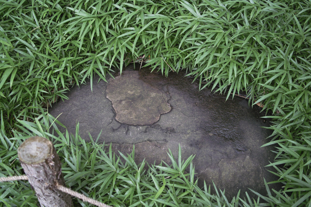 草に寝る石