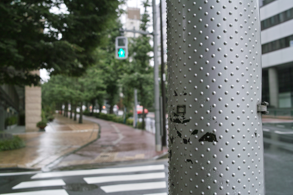 雨の土曜