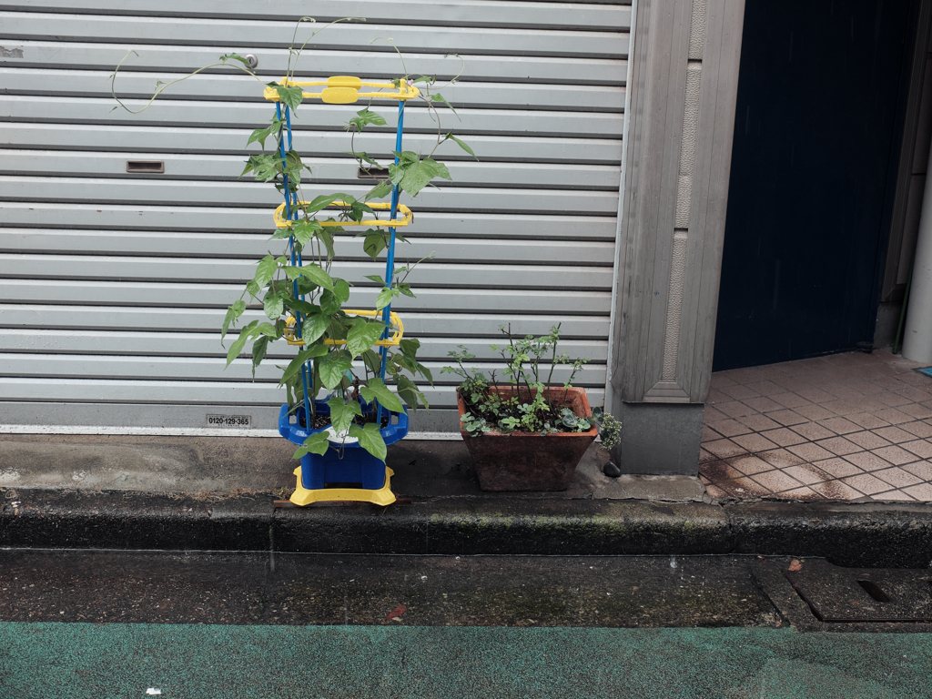 雨を避ける