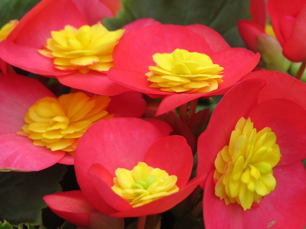 おはようございます