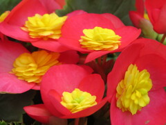 おはようございます