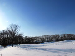 太陽の光が弱い日