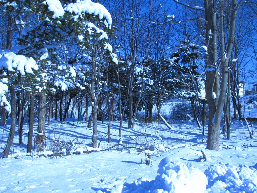 雪風