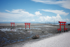 海の鳥居