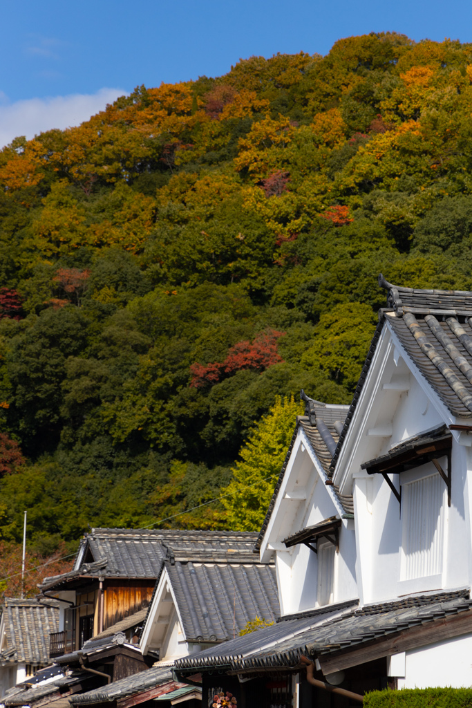 竹原の紅葉