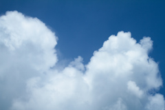 久しぶりに晴れたわ～。雲ちゃ～ん！
