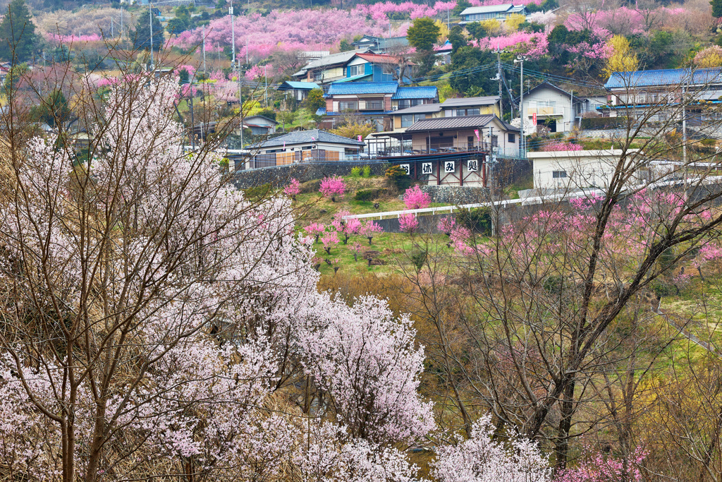 桃源郷