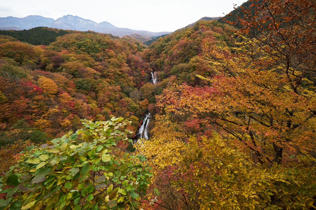 霧降の滝