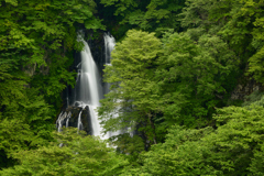 霧降の滝